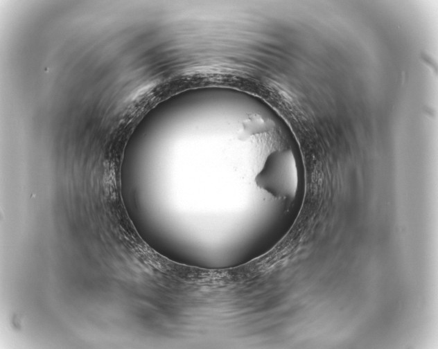 X0000093761062200710301140