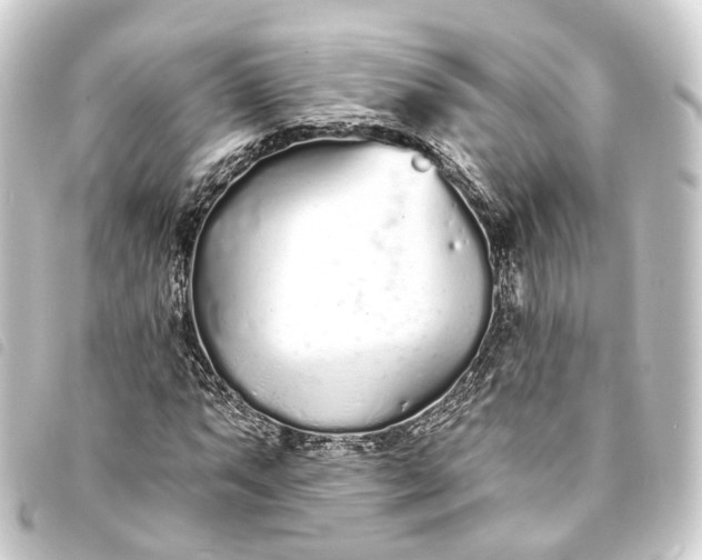 X0000093761063200710301140