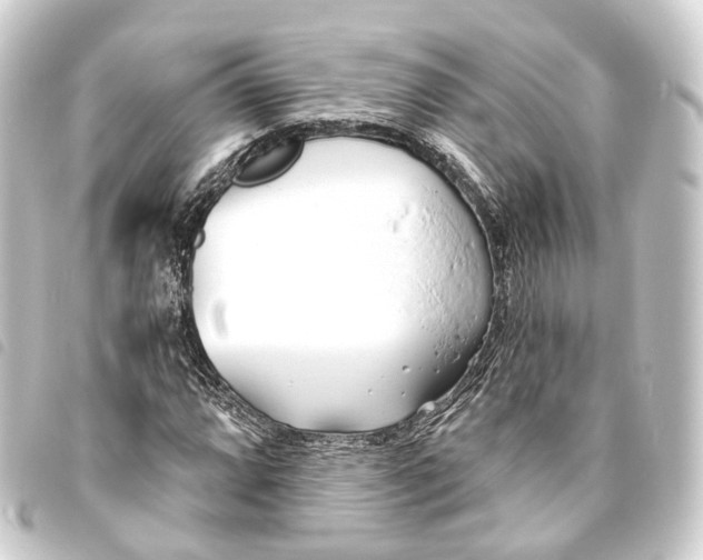 X0000093761064200710301140