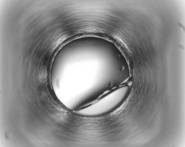 X0000093761065200710301140