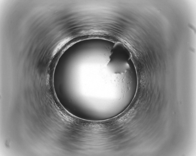 X0000093761066200710301140