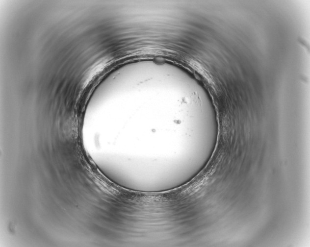 X0000093761067200710301140