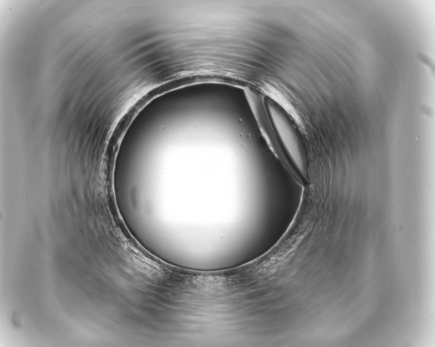 X0000093761068200710301140