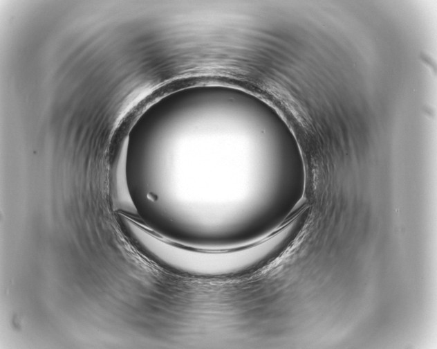 X0000093761069200710301140