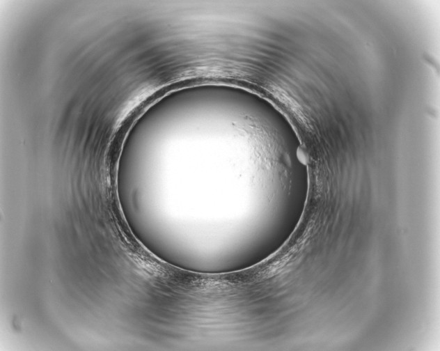 X0000093761070200710301140