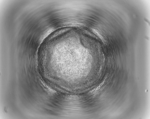 X0000093761071200710301140