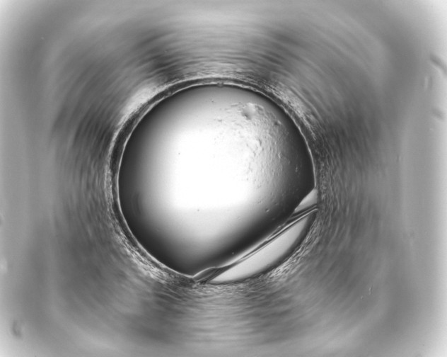 X0000093761072200710301140