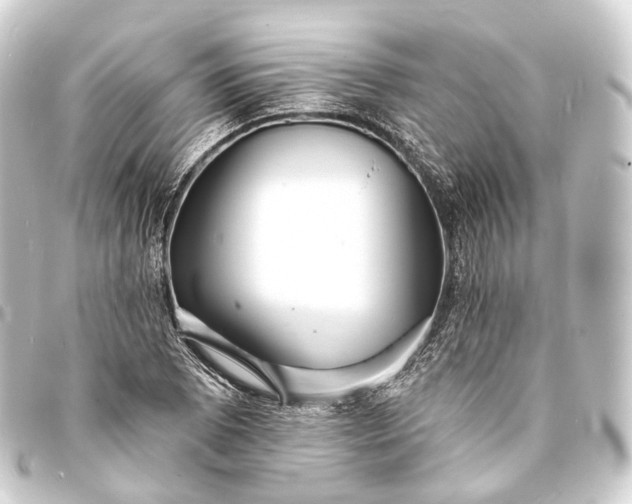 X0000093761073200710301140