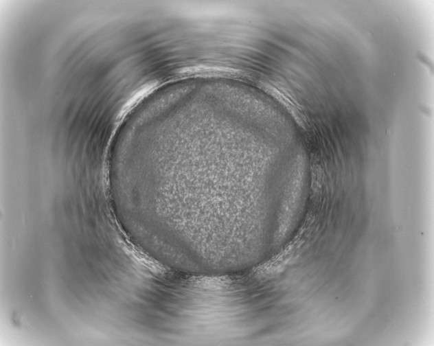 X0000093761074200710301140