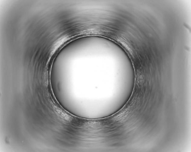 X0000093761075200710301140