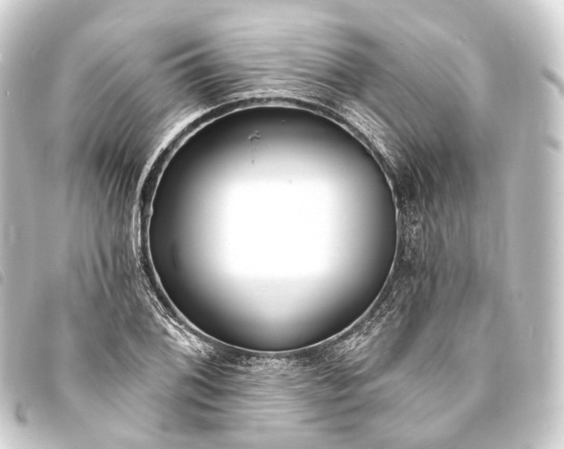 X0000093761076200710301140