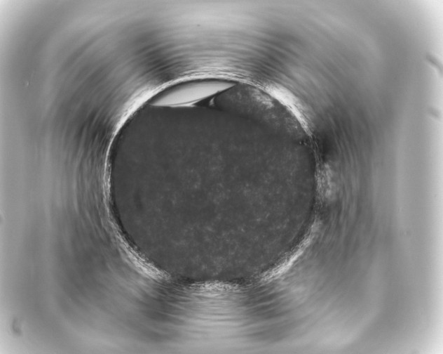 X0000093761077200710301140