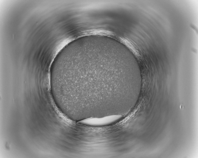 X0000093761079200710301140