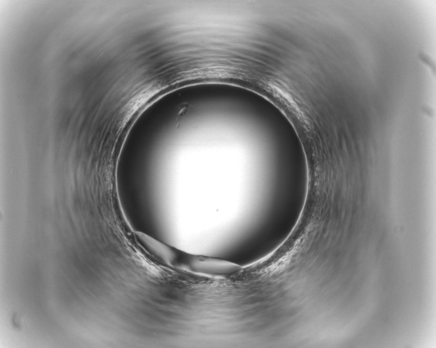 X0000093761081200710301140