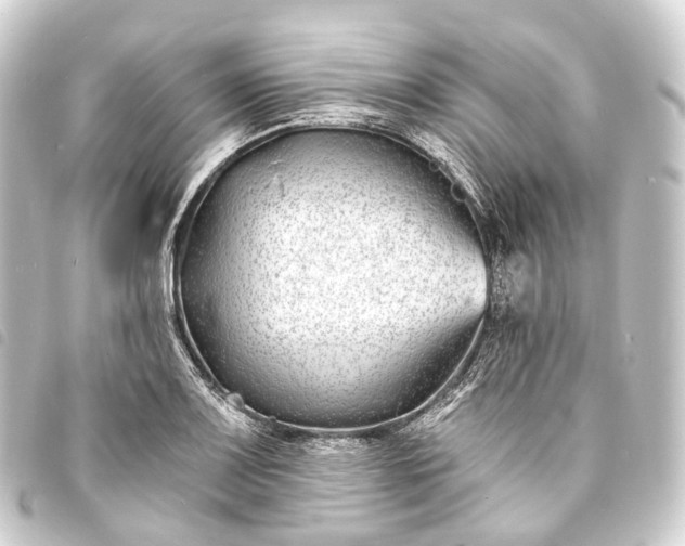 X0000093761083200710301140