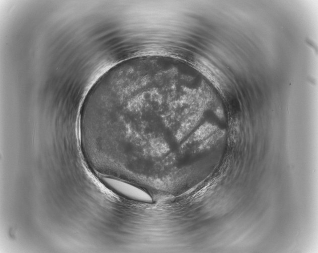 X0000093761084200710301140