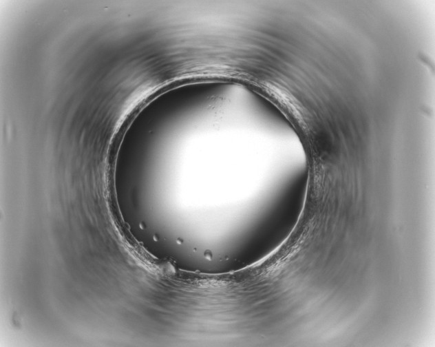 X0000093761085200710301140