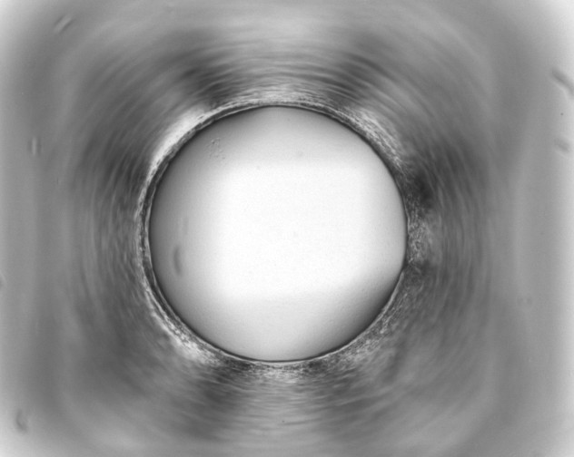 X0000093761086200710301140