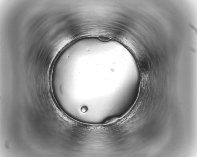 X0000093761087200710301140