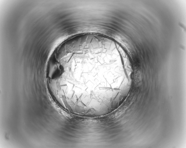 X0000093761088200710301140