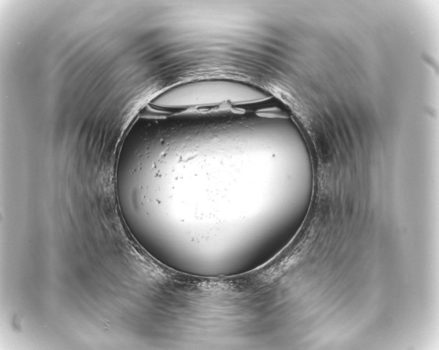 X0000093761089200710301140