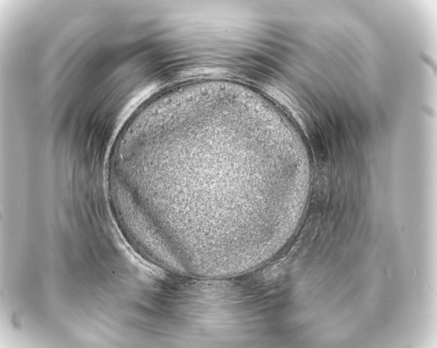 X0000093761090200710301140