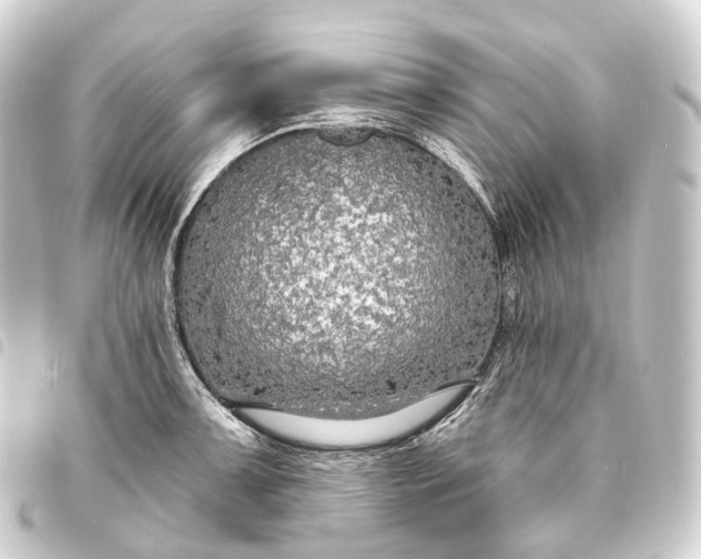 X0000093761091200710301140