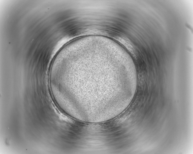 X0000093761094200710301140