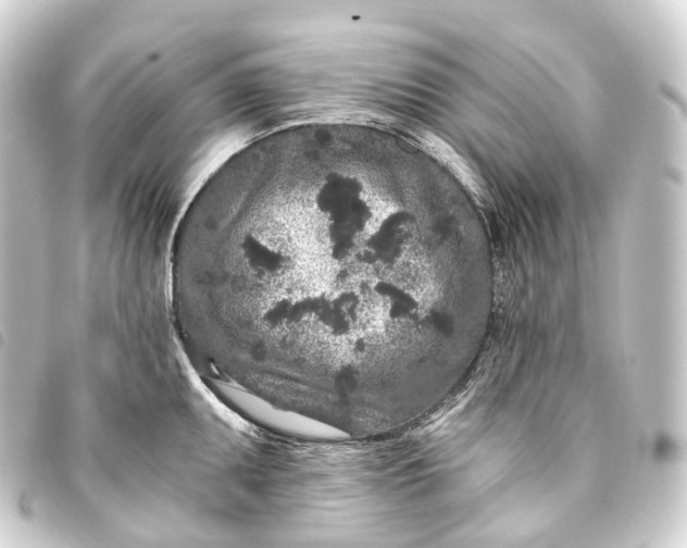 X0000093761095200710301140