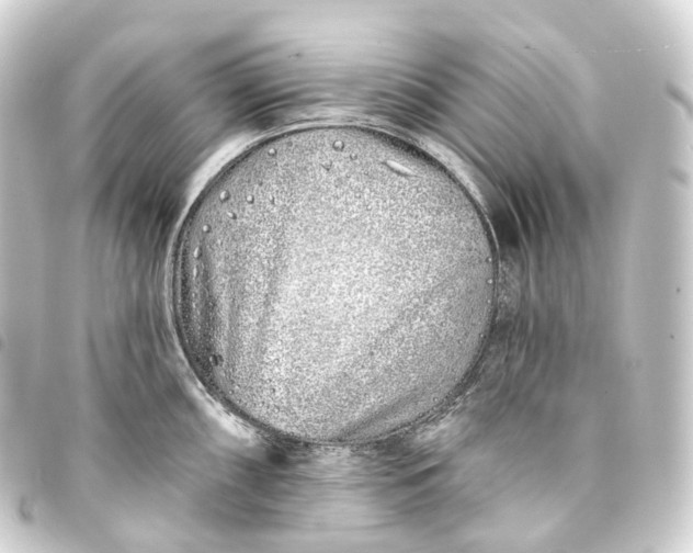 X0000093761098200710301140