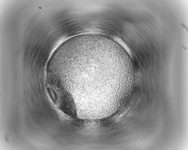 X0000093761099200710301140