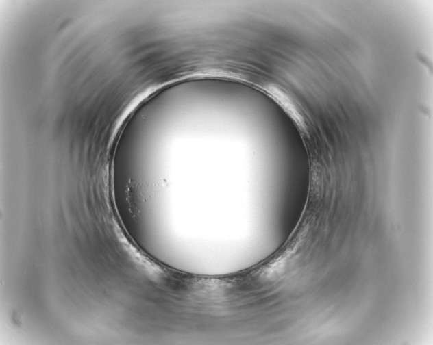 X0000093761100200710301140