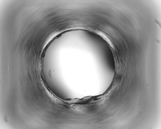 X0000093761101200710301140