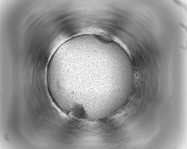 X0000093761103200710301140