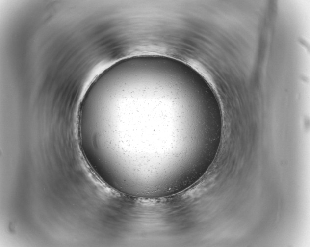 X0000093761104200710301140