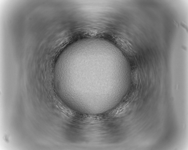 X0000093761105200710301139