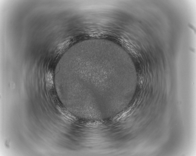 X0000093761106200710301139