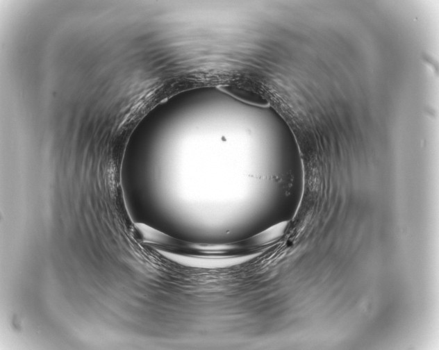 X0000093761108200710301139