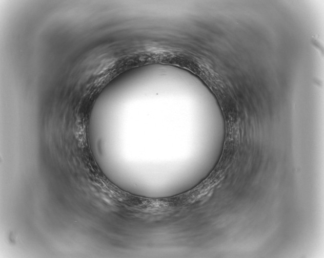 X0000093761109200710301139