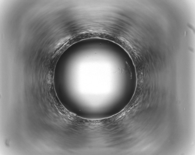 X0000093761110200710301139