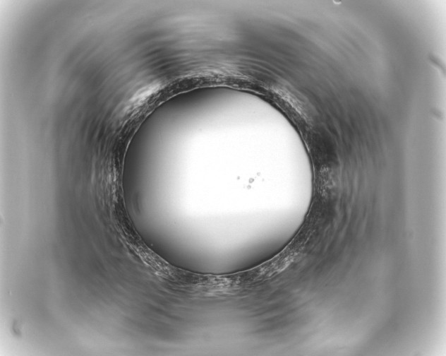 X0000093761111200710301139