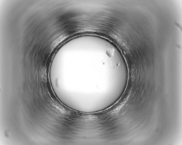 X0000093761113200710301139