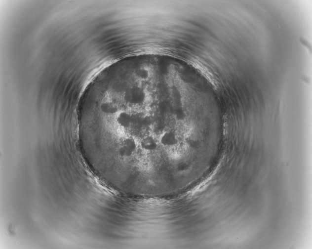 X0000093761117200710301139