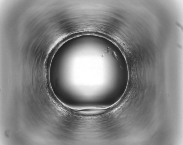 X0000093761118200710301139