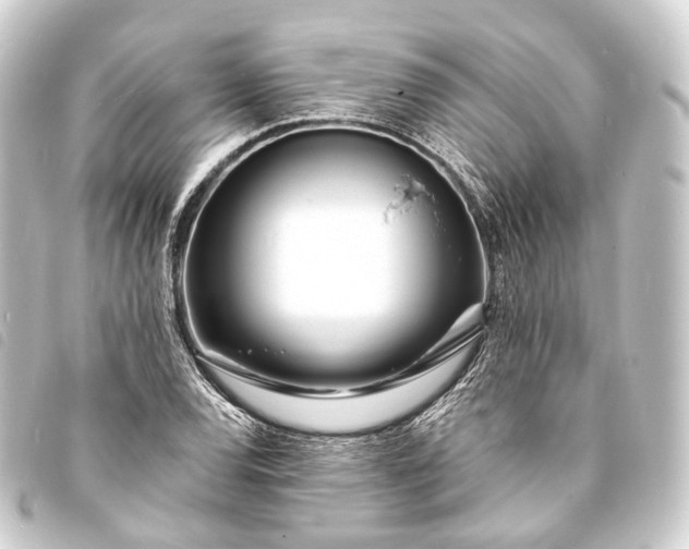 X0000093761120200710301139