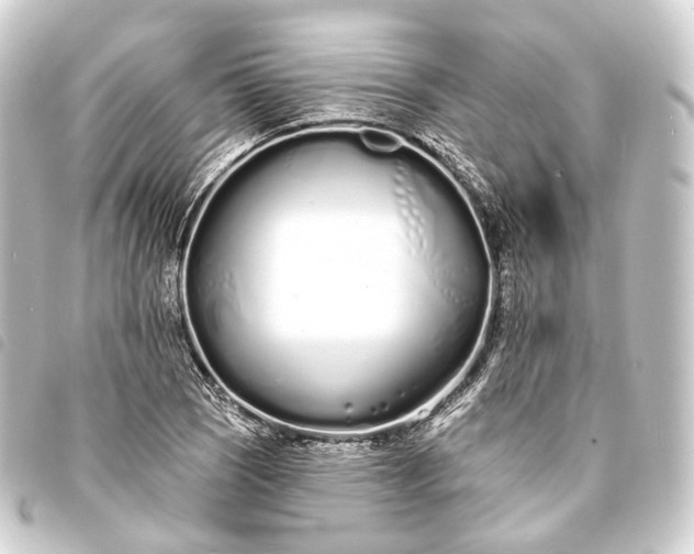 X0000093761121200710301139