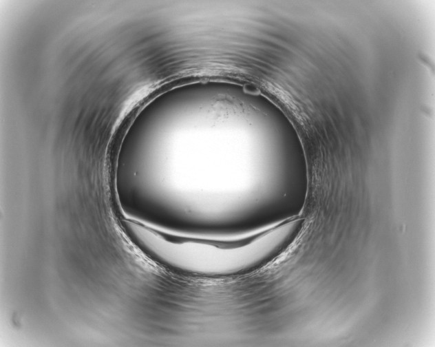 X0000093761122200710301139