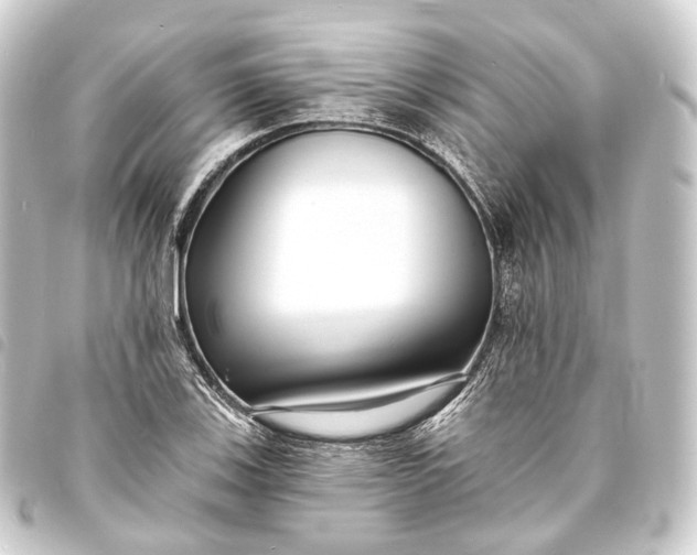 X0000093761123200710301139