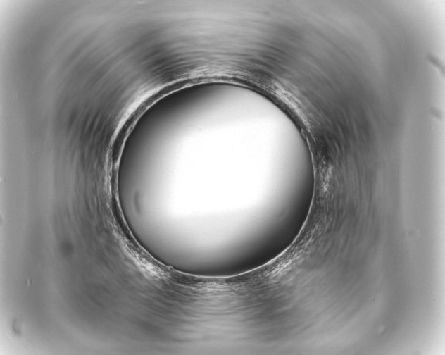 X0000093761124200710301139