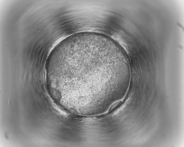 X0000093761125200710301139